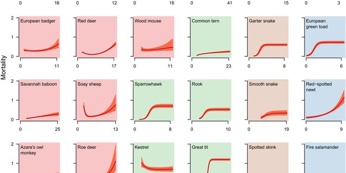 How Math Can Save Endangered Species