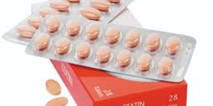 Potential of Statins to Treat Multiple Sclerosis