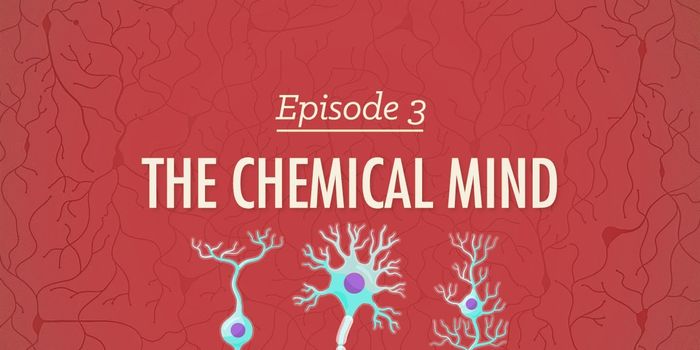 Everything Psychological is Biological