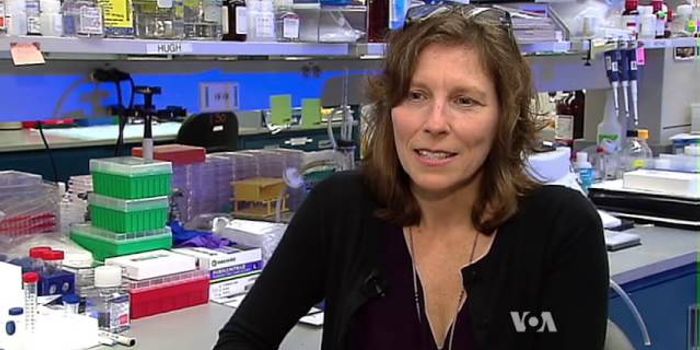 Lifestyle Changes Key To Cancer Prevention