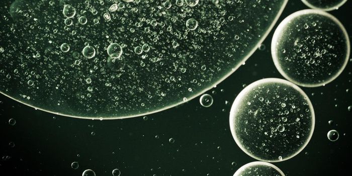 Cancer Cells Migrate To 'Softer' Spots