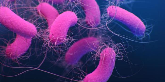 How Microbes Use Copper to Make an Antibiotic