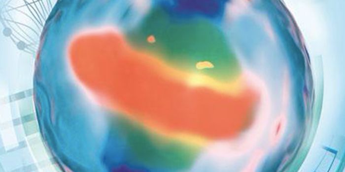 An Interactive Atlas of Cell Division