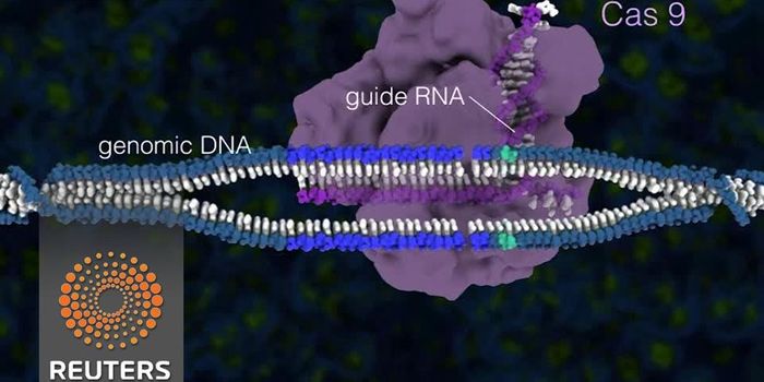 Towards a Cure for Sickle Cell Anemia Through CRISPR
