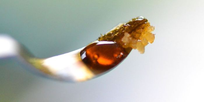 Cannabis Terpenes Provide Pain Relief in Mice