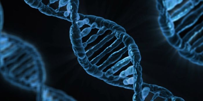 Digging Into the Details of DNA Replication