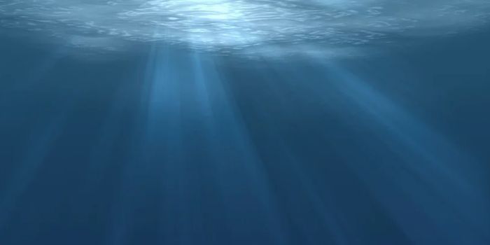 Harsh Subseafloor Biosphere is a Hotbed of Microbial Activity