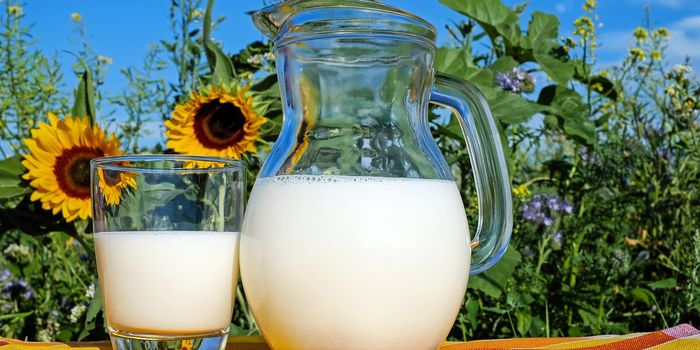 Milk Antibodies Correlated to Heart Disease