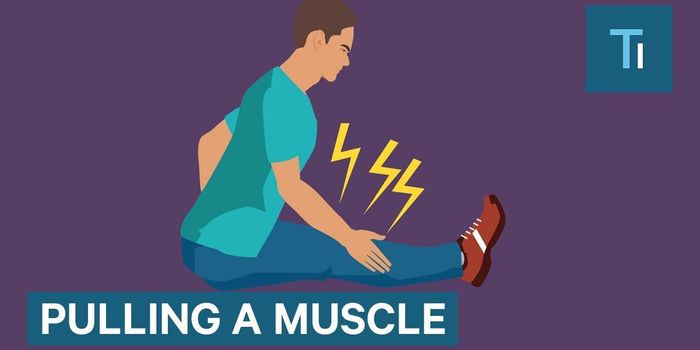Why it Hurts When You Pull a Muscle