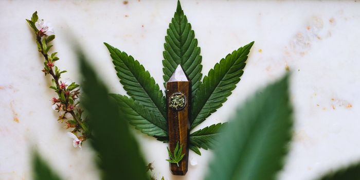 Over 90% Cannabis Products Too High for Pain Relief