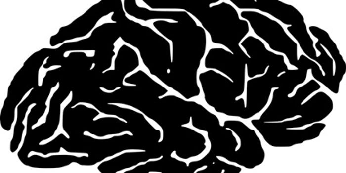 Brain Cancer Survival Tied to 8 Immunity Genes