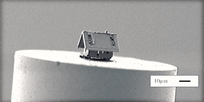 Tiniest House Ever Can Be Built on Strand of Hair