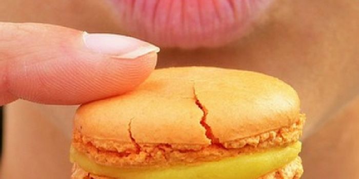 What is "Diabetes of the Brain?"