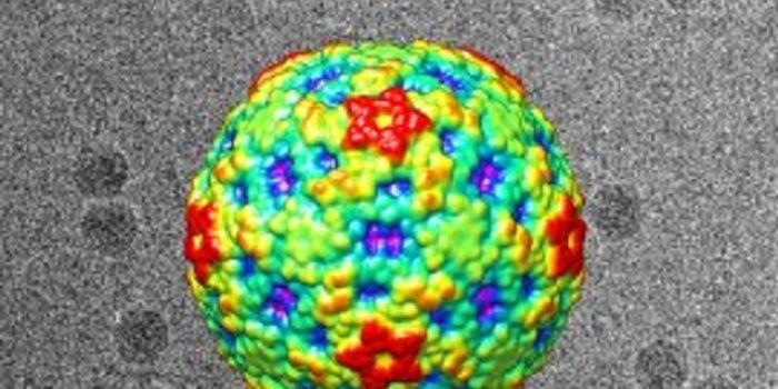 Unexplained Childhood Paralysis Linked to Enterovirus D68