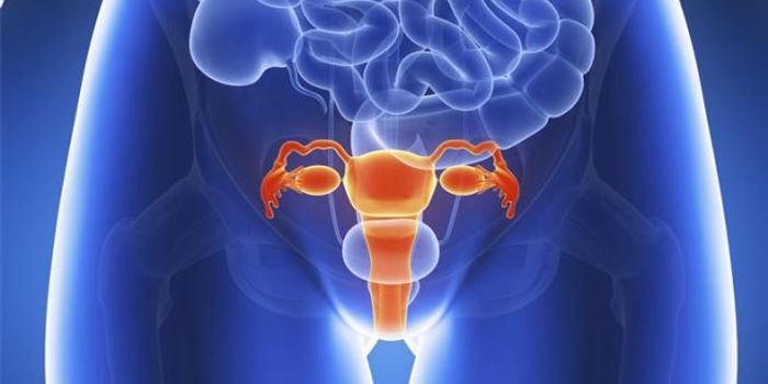 Inhibiting a Receptor Protein to Treat a Rare Form of Uterine Cancer