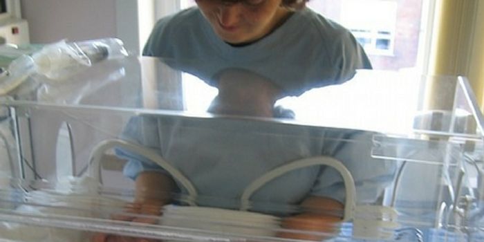 Increasing Vitamin D for Preemies