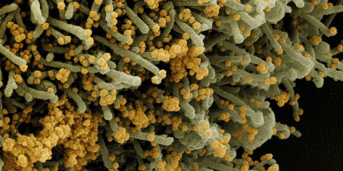 Drug That Reverses Immune Aging Can Prevent COVID-19 Death