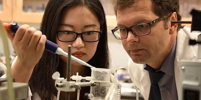 Aging, Obesity, and the Destructive Synergy That Worsens Heart Health