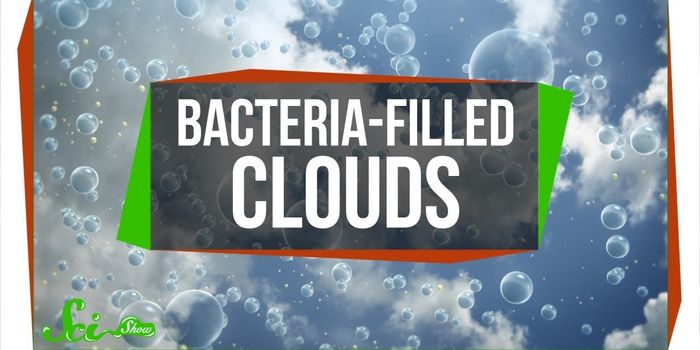 Bacteria can Help Make Snow