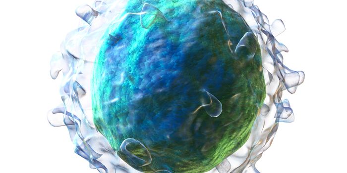 Age, Sex, Genetics and the Immune Response