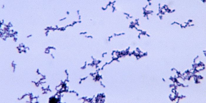 A Skin Microbiome Imbalance may Lead to Acne