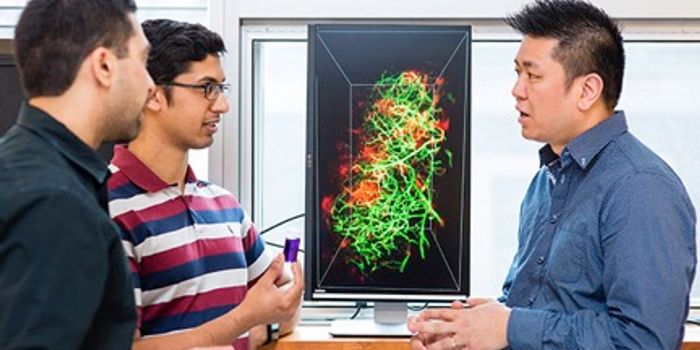 Translucent Organs Improve Nanoparticle Tracking