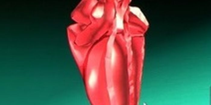 Research Results May Lead to the First Major New Heart-Disease- Fighting Drugs in Years