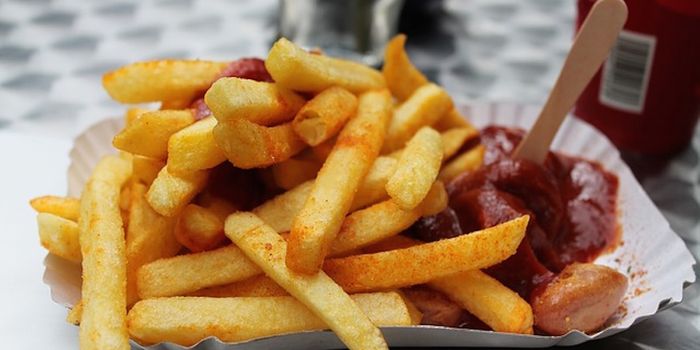 Bite-Sized Fast Food Effective in Workout Recovery