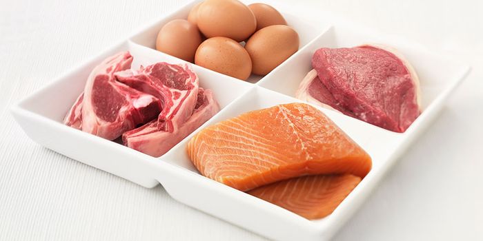 Eggs, Meat, and TMAO's True Role in Heart Disease