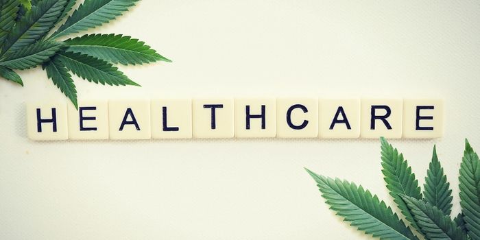 Insurance for Cannabis? Coverage Remains Elusive