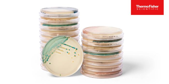 Introducing Innovative Chromogenic Media for Candida spp.