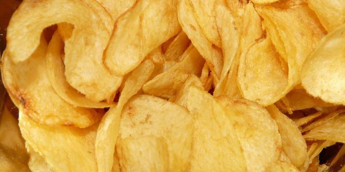 How Diet & The Gut Microbiome Intersect to Boost Cancer