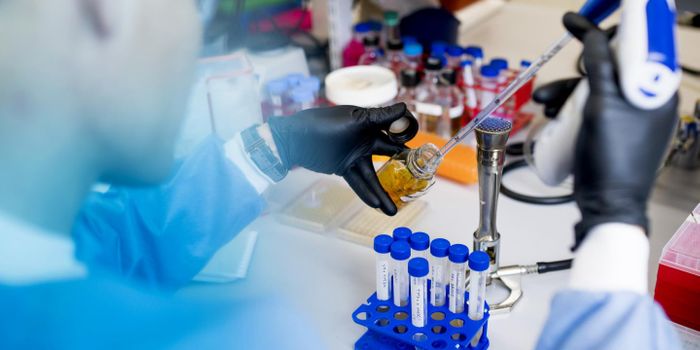 Tiny, Parasitic Bacteria Can Find a Home in the Human Mouth