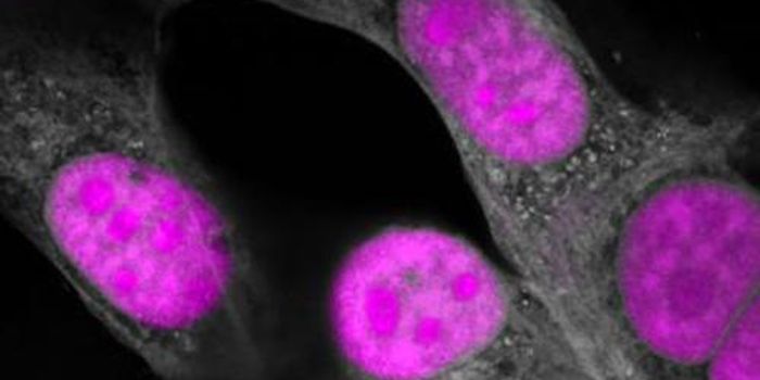 CasRx - A Genetic Editor That Repairs RNA Errors