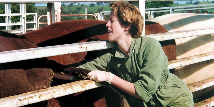 How does Johne's disease evade the immune system?