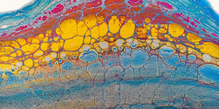 3D Techniques Help Study Fat