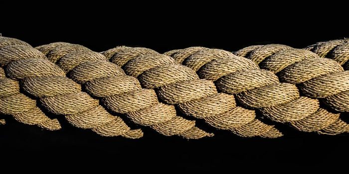 Fridge without Liquid Coolant: How a "Twisted" Idea can Revolutionize Refrigeration Technology