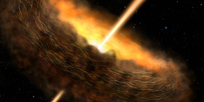 Do Magnetic Fields Influence Supermassive Black Hole Activity?