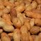 Peanut Exposure Therapy Improves Allergy Response in Children