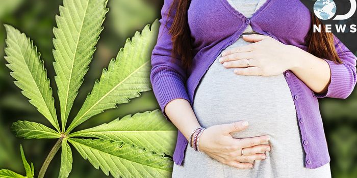 Of Weed, Women, and Wombs: How Marijuana Affects the Baby