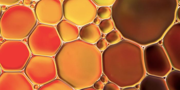 Vitamin K Revealed as Potent Cell Death Suppressor