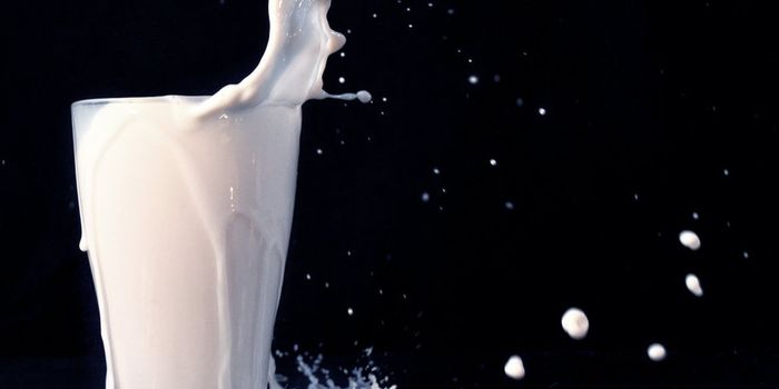 Ten Things You Didn't Know About Milk