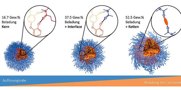 Advancing Nanocontainers for Drug Delivery