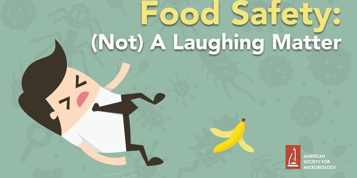 The Importance of Food Safety