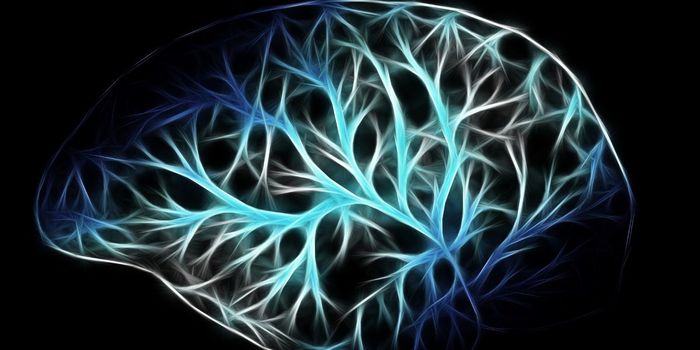 New Drug Prevents Dementia After Head Injury