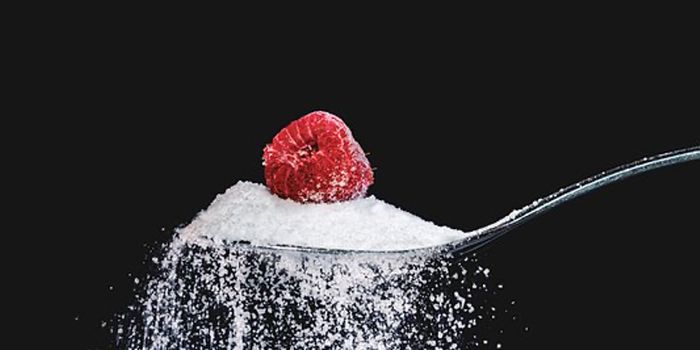 Artificial Sweetener Linked to Anxiety