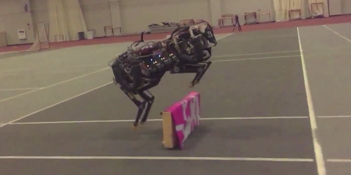This Mechanical Running & Jumping Cheetah Could Be the Military's Next Secret Weapon