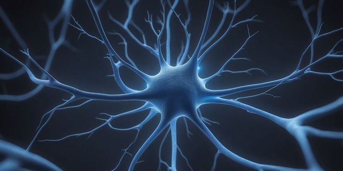 Certain Kind of Brain Damage May Protect Against PTSD