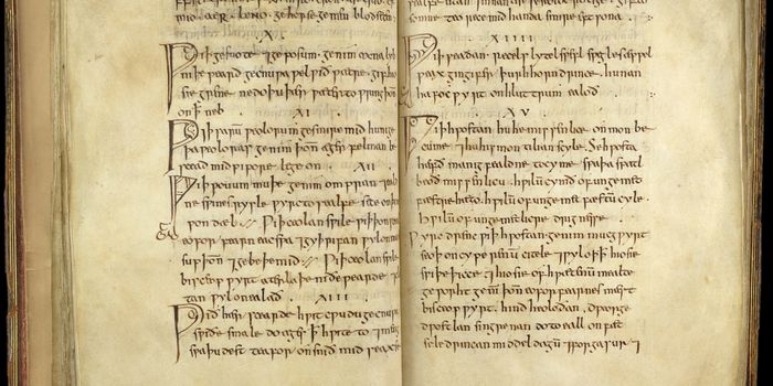 1,000 Year-Old Remedy Could be Key to Killing MRSA