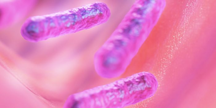 Fewer Healthy Gut Microbes Can Increase the Risk of a Bad Infection